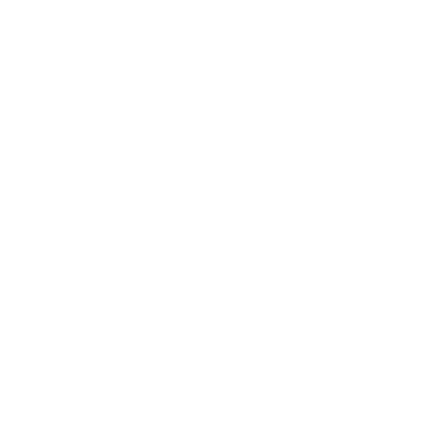 Оригинальный юбилейный логотип DIDAR — 95 жыл